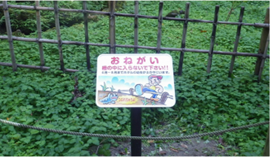 看板各種